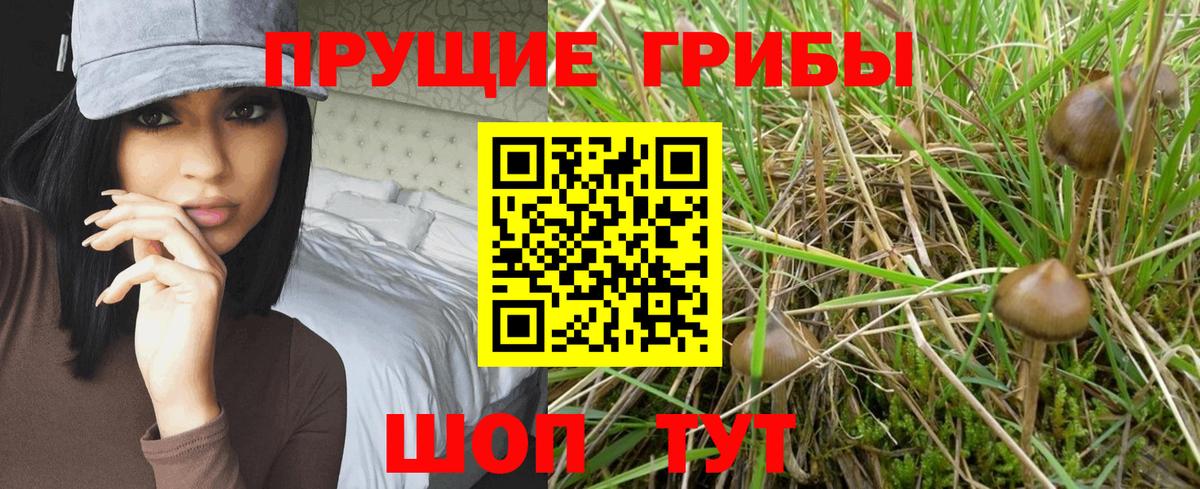 Галлюциногенные грибы мухоморы  Галлюциногенные грибы мицелий  Киселёвск  Вход с VPN 